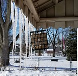 birdfeeder_on_ice