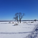 Frozen