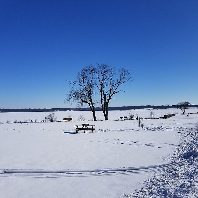 Frozen