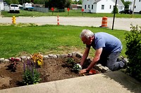 Planting