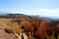 IMG_1253