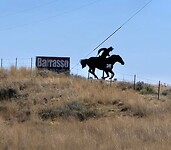 Go get them cowboy