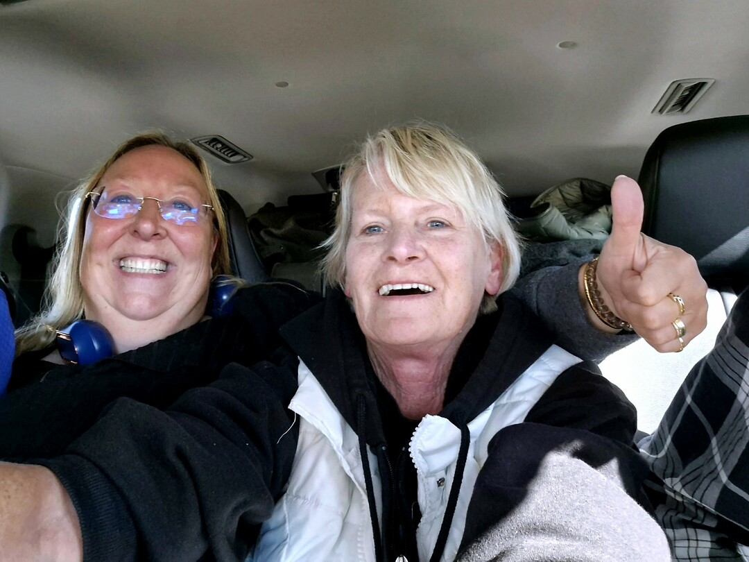 Er gaan veel makke schapen met koffers in een taxi