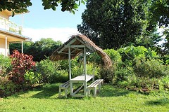 Busoga Trust garden