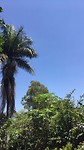 Foto 23-01-17 15 12 46