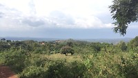 Foto 23-01-17 15 49 00