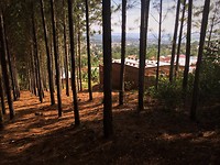 IMG_4312