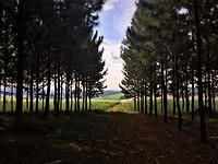 IMG_4372