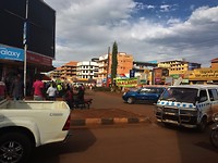 IMG_4599