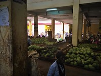 IMG_4607