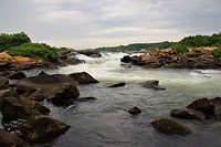IMG_4895