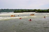 IMG_4945
