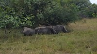 IMG-20161213-WA0041