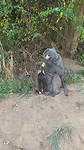 IMG-20161213-WA0050