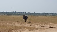IMG-20161213-WA0098