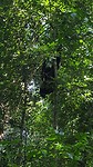 IMG-20161213-WA0135
