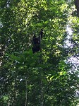 IMG-20161213-WA0148