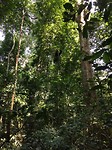 IMG-20161213-WA0150