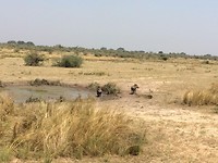IMG-20161213-WA0175