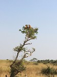IMG-20161213-WA0182