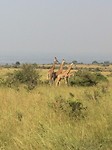 IMG-20161213-WA0183