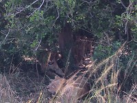 IMG-20161213-WA0226
