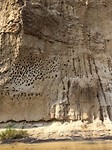 IMG-20161213-WA0241