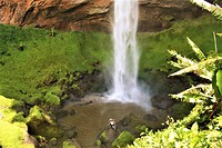 IMG_3595