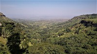 IMG-20161113-WA0005