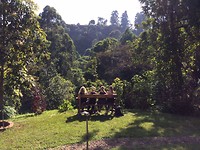 Onze lodge bij de Sipi Falls