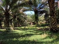 IMG-20161121-WA0108