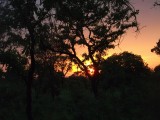 DSCF2048