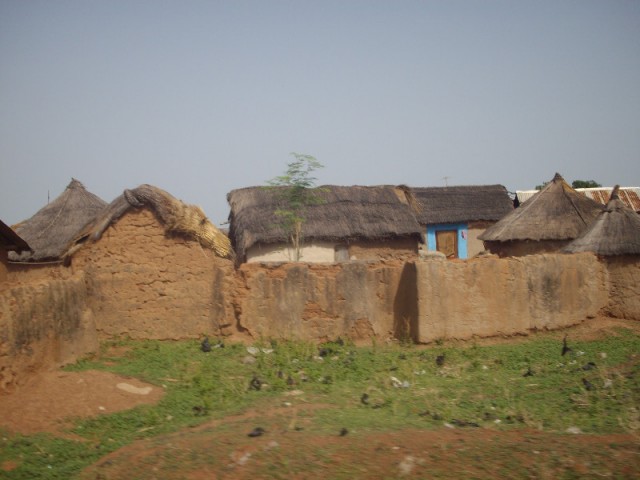 IMGP3126