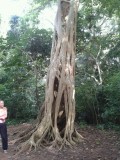 IMG-20130617-WA0005