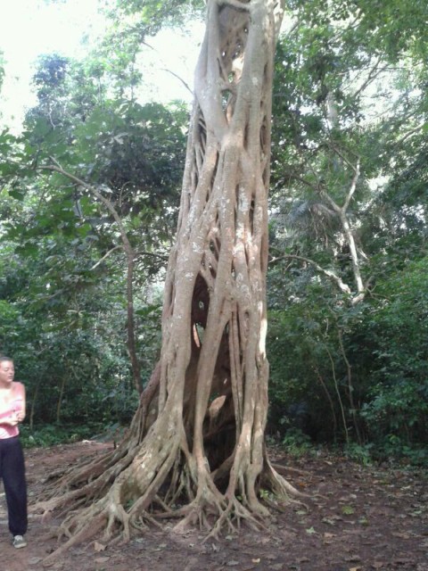 IMG-20130617-WA0005