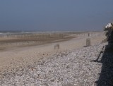 Strand van Sangatte