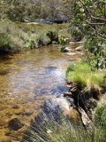 Thredbo river