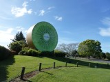 De Kiwi hoofdstad Te Puke