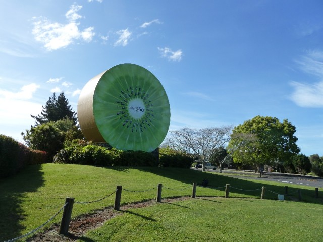 De Kiwi hoofdstad Te Puke