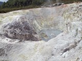 IMG_1578