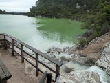 Smaragd groen