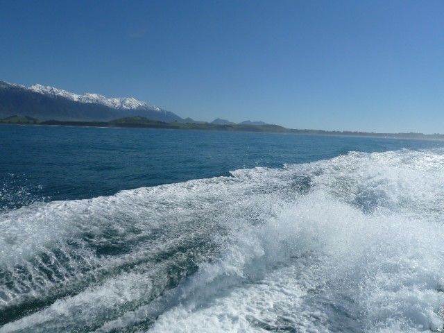 P1030974