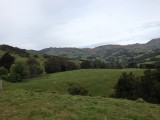IMG_1614