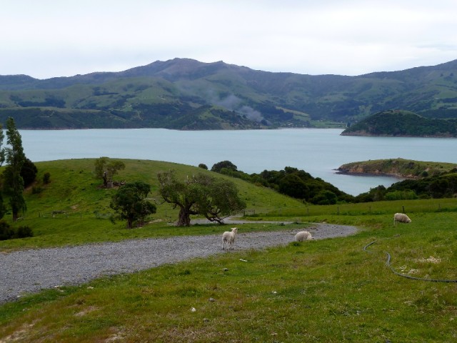 Net Noorse Fjorden
