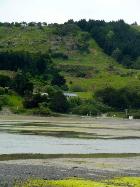 P1040051