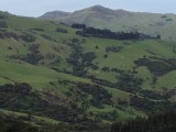 IMG_1621