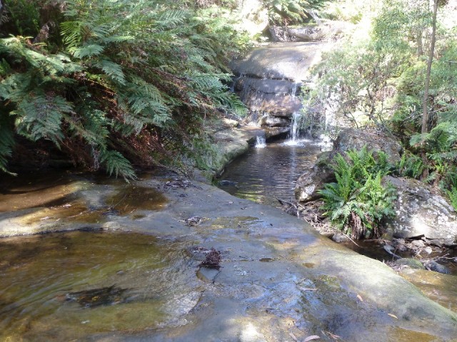 Leura, mooi natuurgebied van de Blue Mountains