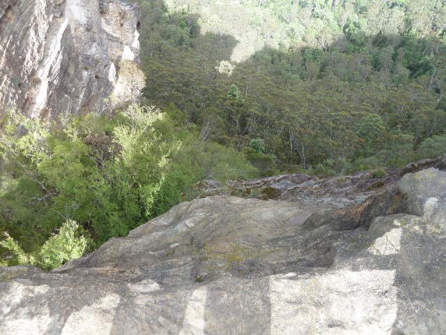 P1040139