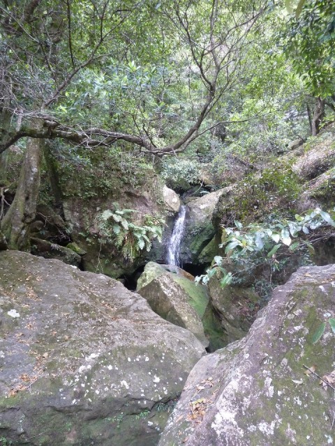 P1040150