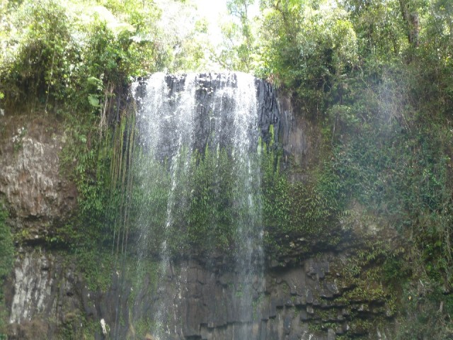 De waterval van Millaa Millaa